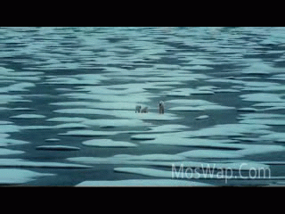 Видео Геошторм 2017 