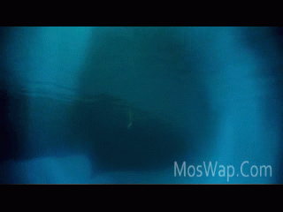 Видео Глубокое синее море 1999 