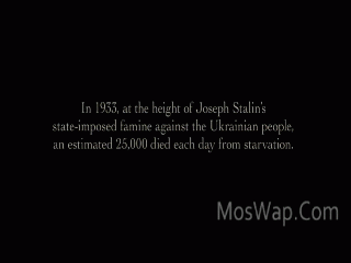 Видео Номер 44 2015 