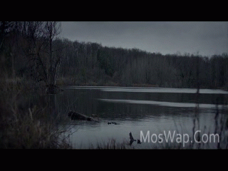 Видео Озеро Шиммер 2017 