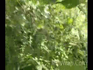Видео Змеиный остров 2002 