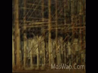 Видео Mutanty Iks 1 Sezon - 07 Serija MosWap Com.mp4 
