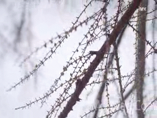 Видео Стыд 2 Сезон - 08 Серия 