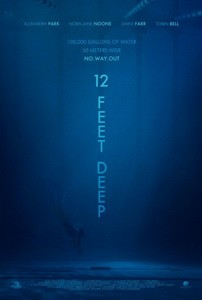 Постер 12 футов глубины 2017 