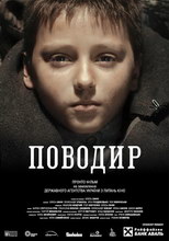 Поводырь 2014